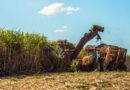 SP lança plataforma digital para conectar o ecossistema do biometano