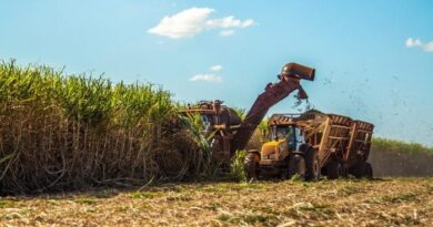 SP lança plataforma digital para conectar o ecossistema do biometano