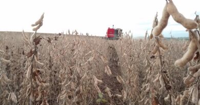 Santa Cruz está entre as 100 cidades mais ricas do agro brasileiro